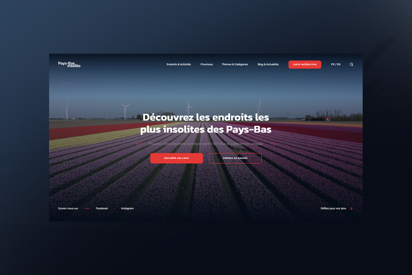 Pays-Bas Insolite